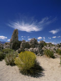 Tufa Rock Formations on a Landscape  Mono Lake  California  USA