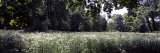 Flowers and Trees in a Garden  Garden of Lednice  Lednice  Moravia  Czech Republic
