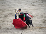 Matador and a Bull in a Bullring  Lima  Peru