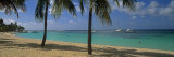 Palm Trees on the Beach  Sainte-Anne Beach  Sainte-Anne  Grande-Terre  Guadeloupe