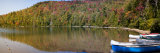 Reflection of Trees in a Lake  Heart Lake  Skagit County  New York State  USA