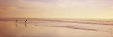 Two Children Playing on the Beach  San Francisco  California  USA