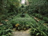 Fountain in a Garden  Savannah  Chatham County  Georgia  USA
