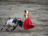 Matador and a Bull in a Bullring  Lima  Peru