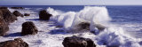 Waves Breaking on the Coast  Santa Cruz  Santa Cruz County  California  USA