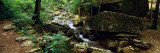 Stream Flowing in Forest  Lost Valley State Park  Ozark National Forest  Ozark Mountains  Arkansas