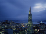 Buildings Lit Up at Dusk  Transamerica Pyramid  Coit Tower  San Francisco  California  USA