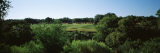 Golf Course  Barton Creek Golf Course  Spicewood  Burnet County  Texas  USA