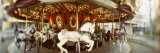 Carousel Horses in Amusement Park  Seattle Center  Queen Anne Hill  Seattle  Washington State  USA