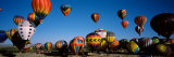 Albuquerque International Balloon Fiesta  Albuquerque  New Mexico  USA