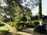 Statue in a Garden  Middleton Place  Charleston  Charleston County  South Carolina  USA