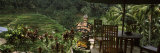 Restaurant Near Rice Field  Rice Terrace Cafe  Tegalalang  Bali  Indonesia