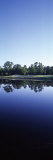 Pond in a Golf Course  Blue Heron Pines Golf Course  Punta Gorda  Charlotte County  Florida  USA