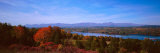 River Passing Through a Forest  Hudson River Valley  Hudson River  New York State  USA