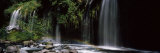 Rainbow Formed in Front of Waterfall in a Forest  Near Dunsmuir  California  USA