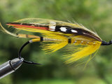 Traditional Salmon Fishing Fly  UK
