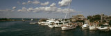 Boats at a Harbor  Martha's Vineyard  Dukes County  Massachusetts  USA