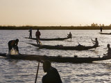 Niger Inland Delta  at Dusk  Bozo Fishermen Fish with Nets in the Niger River Just North of Mopti  