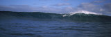 Surfer in the Sea  Maui  Hawaii  USA