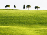 Classic Tuscan Landscape  Near San Quirico  Valle De Orcia  Tuscany  Italy