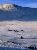 Bayan-Olgii Province  Yurts in Winter  Mongolia