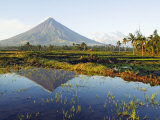 Luzon Island  Bicol Province  Mount Mayon  Near Perfect Volcano Cone  Philippines