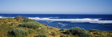 Waves Breaking on the Beach  Western Australia  Australia