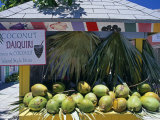 Coconut Daiquiri Stall at Port Lucaya on Grand Bahama  the Bahamas