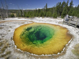 Morning Glory Pool  Yellowstone National Park  Wyoming  USA