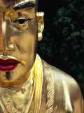 Face of Golden Buddha Statue - One Among Many at Ten Thousand Buddhas Monastery  New Territories