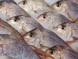 Fresh Seafood Sits on Ice Ready at Sydney's Fish Market at Pyrmont  Australia