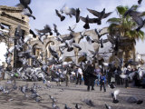 Feeding Pigeons in Front of Remains of Roman Western Temple Gate Outside Umayyad Mosque  Damascus
