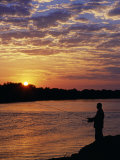 Zambezi National Park  Sausage Tree Camp  Fly-Fishing for Tiger Fish at Sunset on River  Zambia