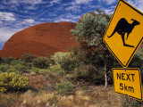 Alice Springs  Traffic Sign Beside Road Through Outback  Red Rocks of Olgas Behind  Australia