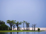 Amazon  Rio Tapajos  A Tributary of the Rio Tapajos Turns Translucent under Gathering Rain Clouds  