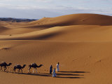 Berber Tribesmen Lead their Camels Through the Sand Dunes of the Erg Chegaga  in the Sahara Region 