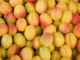 Turkey  Eastern Turkey  Malatya  Bazaar  Apricots
