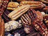 Maize from Pisac Market  Sacred Valley  Peru