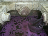 Grape Juice During the Port Wine Process Separated from Pulp  September Wine Harvest  Portugal