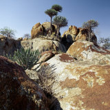 Lichen-Stained Boulders and Euphorbia Trees Add Form and Colour to Lake Eyasi's Impressive Western 