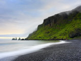 Black Sand Beach  Vik  Cape Dyrholaey  South Coast  Iceland