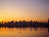 Manhattan Skyline  New York City  USA