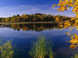 Minnesota  Lake Winnibigoshish  Chippewa National Forest  Northern Minnesota  USA