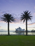 New South Wales  Sydney  Sydney Opera House Through Palms  Australia