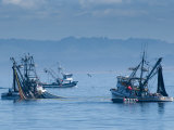 California  Monterey  Fishing Boats  USA