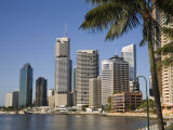 Queensland  Brisbane  the Highrise Apartment Blocks and Office Buildings of Brisbane's Riverfront  