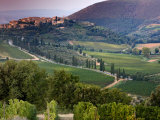 Castelnuovo Del'Abate  Tuscany  Italy
