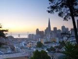 California  San Francisco  Downtown and Transamerica Building  USA