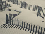 New York  Long Island  the Hamptons  Westhampton Beach  Beach Erosion Fence  USA