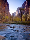 Utah  Zion National Park  the Narrows of North Fork Virgin River  USA